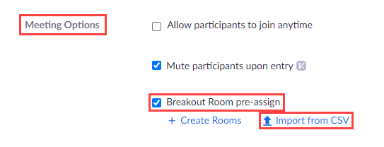 In the Meeting Options, select Breakout rooms pre-assign and click on Import from CSV.&nbsp;   